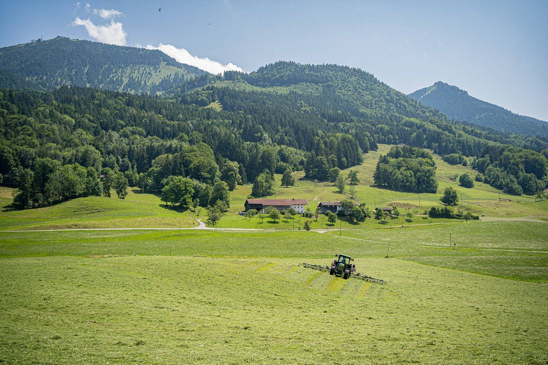 Főoldal 1 Samerberger szena magyarorszagi forgalmazoja