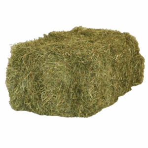 Samerberger bio réti bálás széna